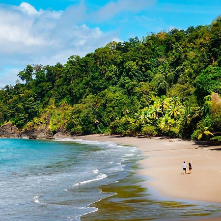 Corcovado Wilderness Lodge By Scp San Pedrillo Exteriör bild