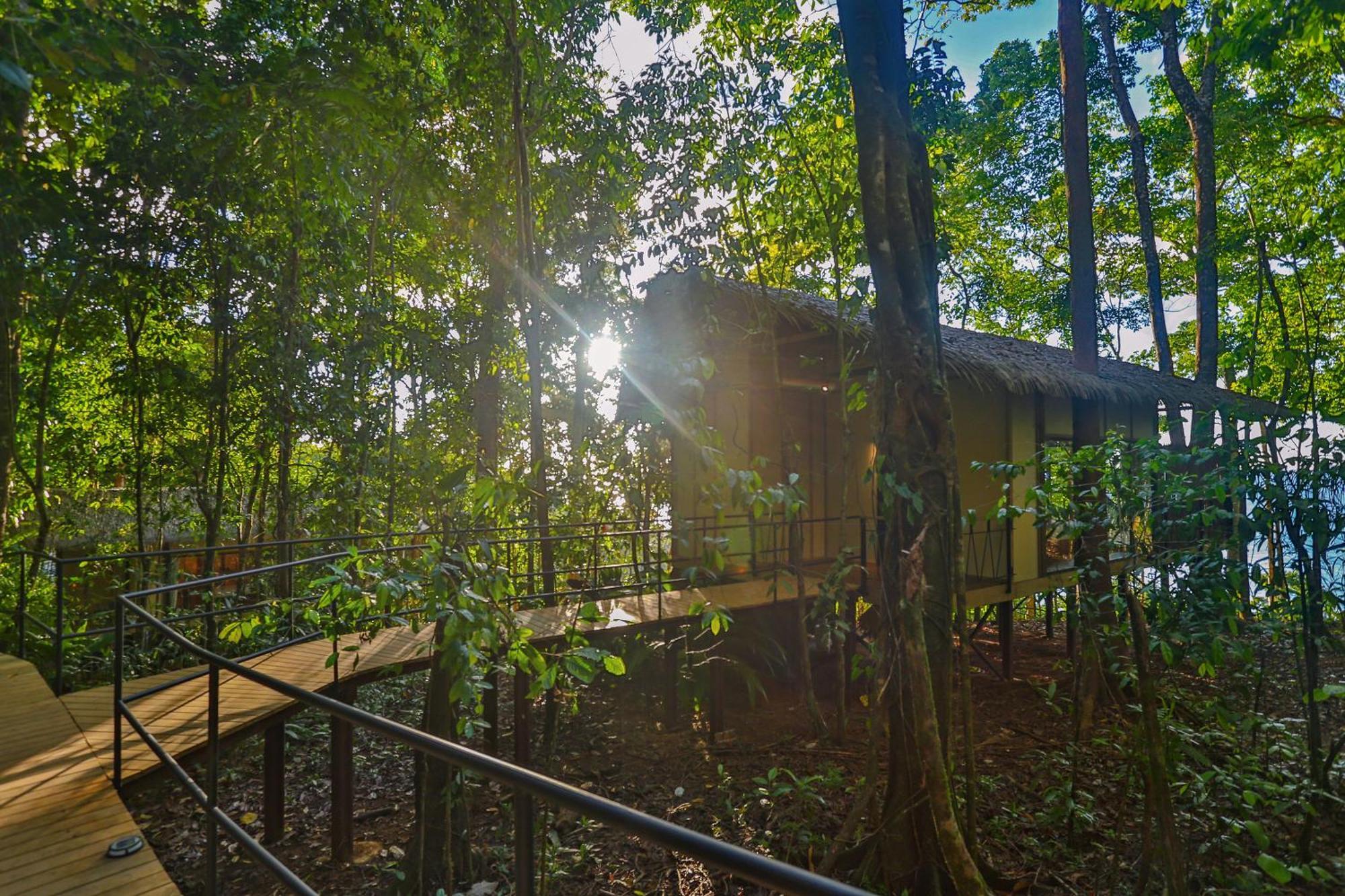 Corcovado Wilderness Lodge By Scp San Pedrillo Exteriör bild
