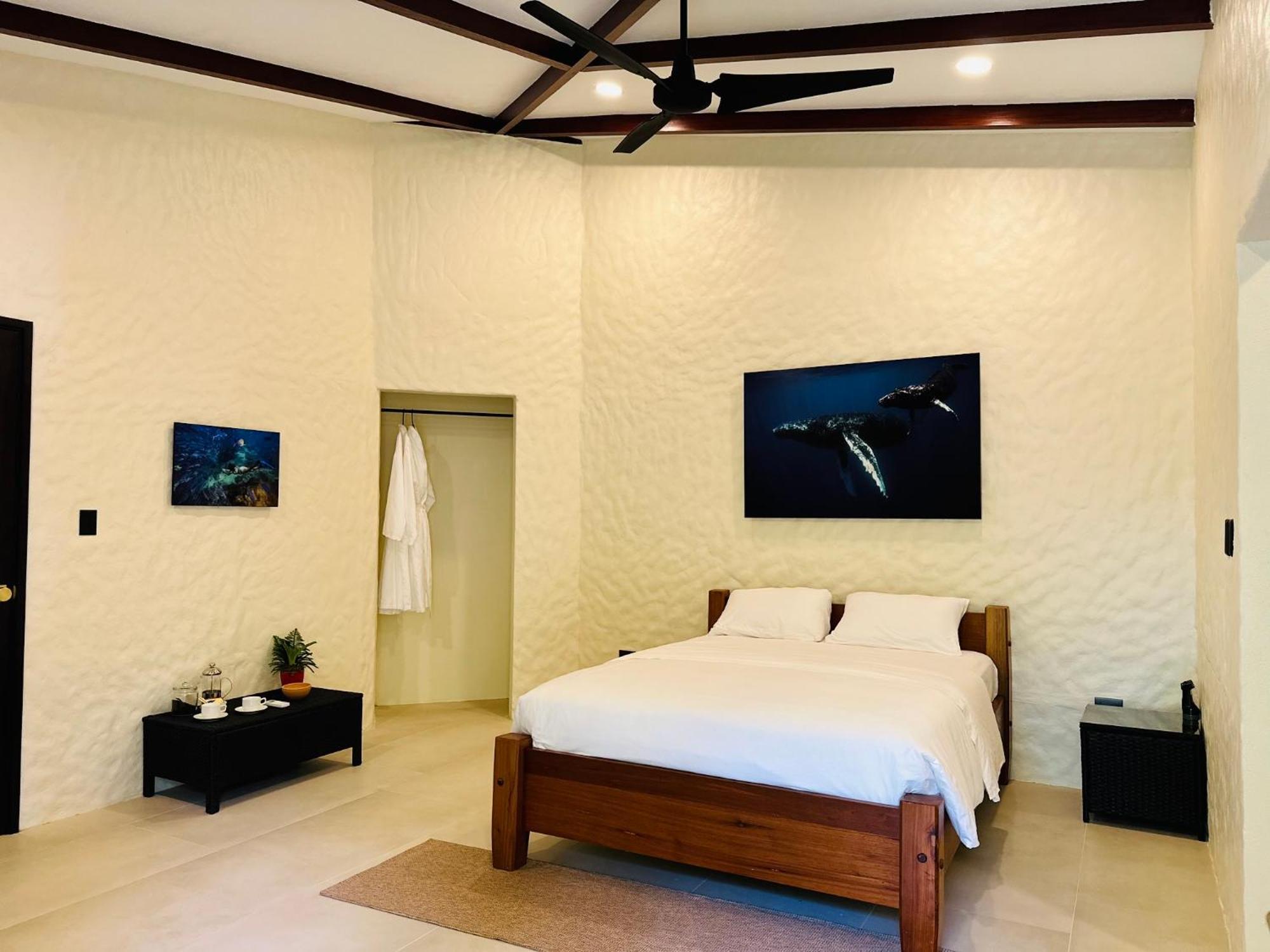 Corcovado Wilderness Lodge By Scp San Pedrillo Exteriör bild