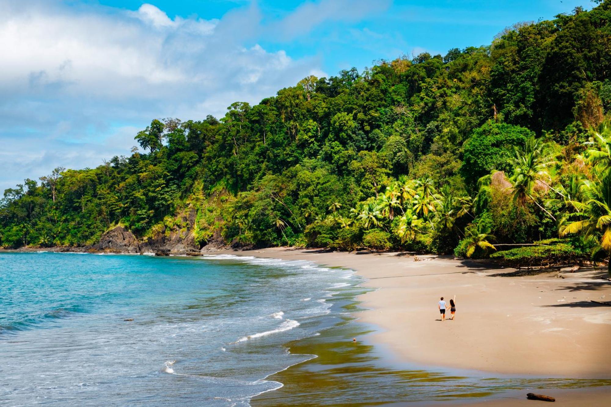 Corcovado Wilderness Lodge By Scp San Pedrillo Exteriör bild