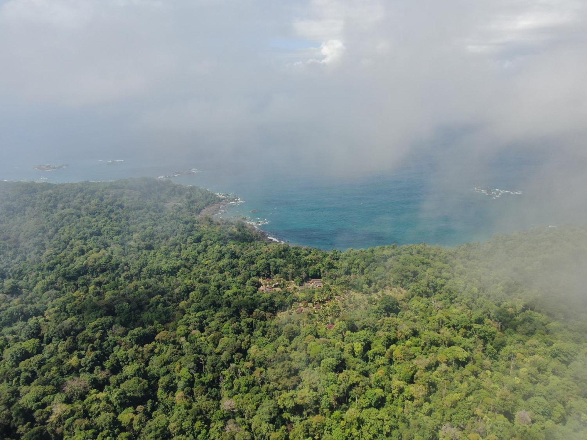 Corcovado Wilderness Lodge By Scp San Pedrillo Exteriör bild