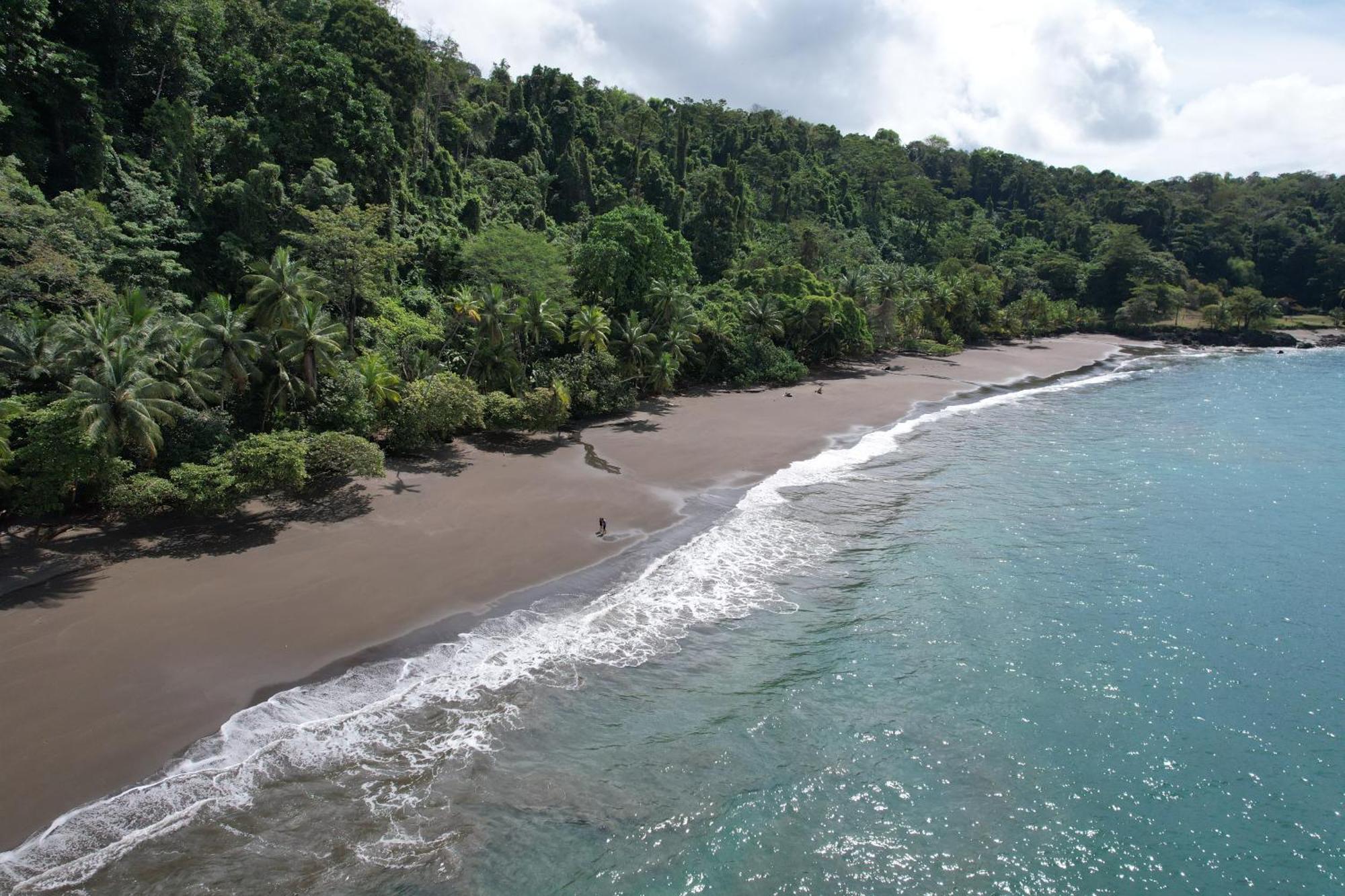Corcovado Wilderness Lodge By Scp San Pedrillo Exteriör bild