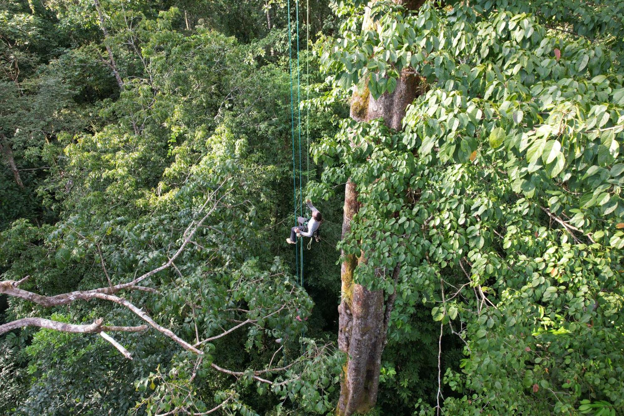 Corcovado Wilderness Lodge By Scp San Pedrillo Exteriör bild