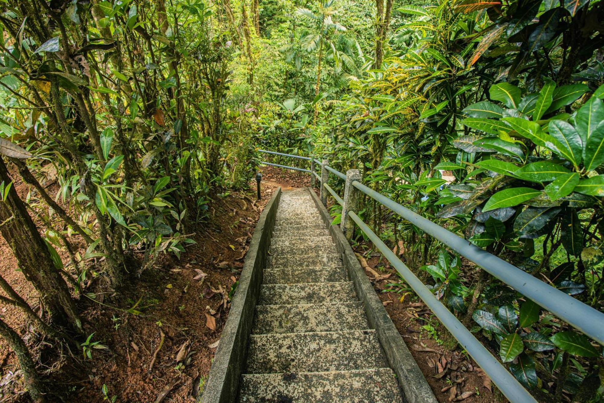 Corcovado Wilderness Lodge By Scp San Pedrillo Exteriör bild