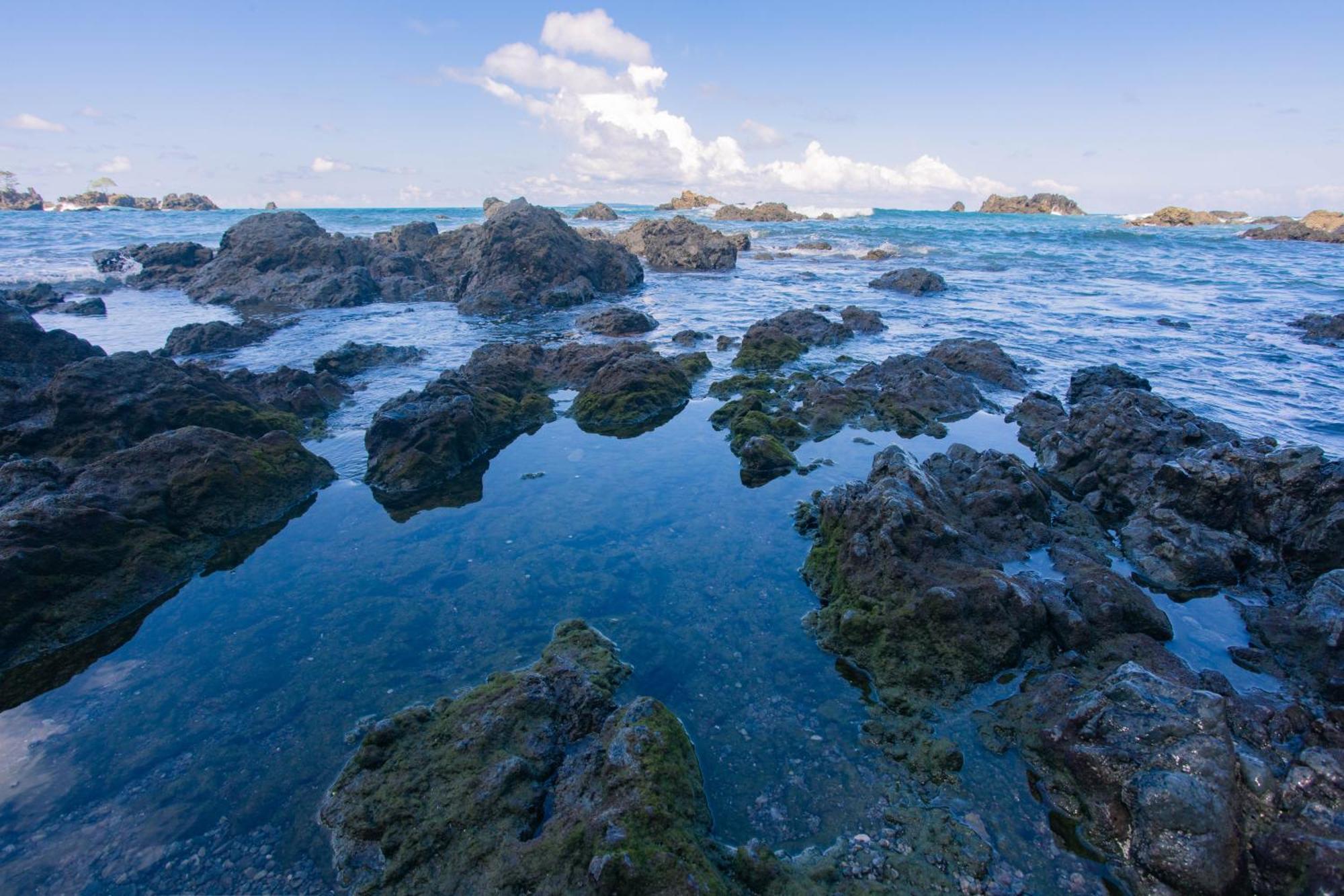 Corcovado Wilderness Lodge By Scp San Pedrillo Exteriör bild