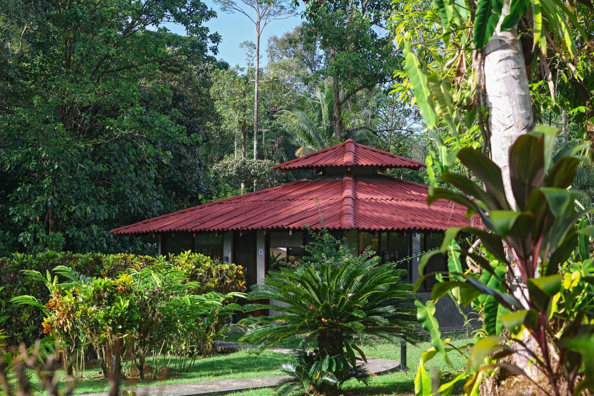 Corcovado Wilderness Lodge By Scp San Pedrillo Exteriör bild